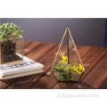 Przezroczyste szklane terrarium Garden Home Cafe Planter Container